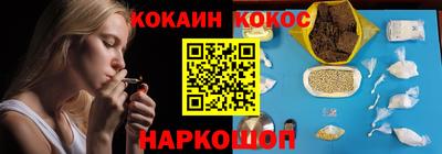 крисы Новокубанск