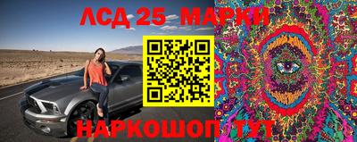 таблы Новодвинск