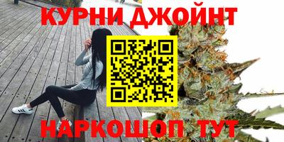 крисы Новокубанск