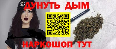 крисы Новокубанск