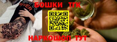 крисы Новокубанск