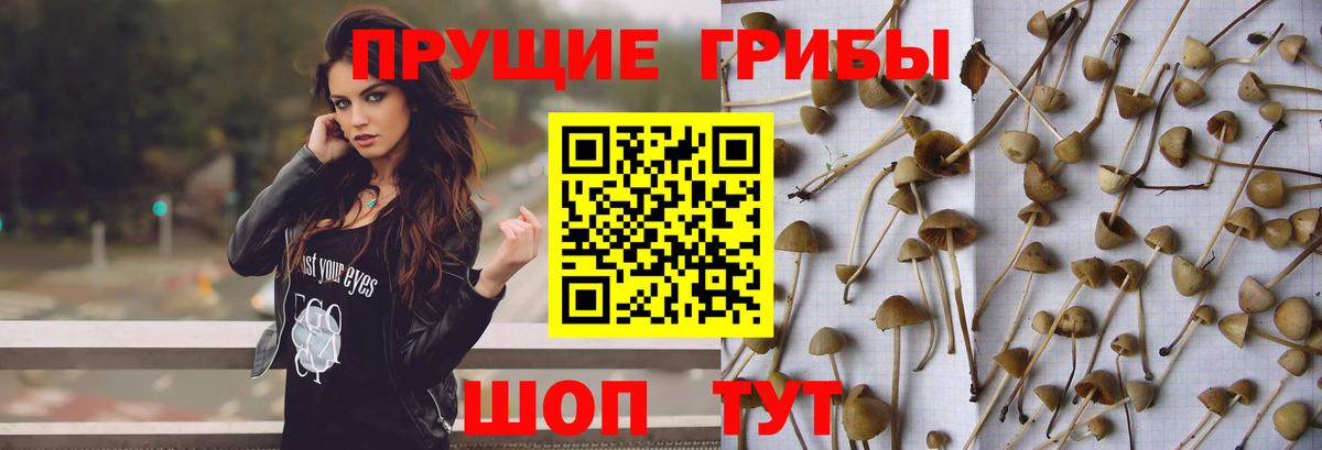 Узловая  Псилоцибиновые грибы прущие грибы  Галлюциногенные грибы Magic Shrooms  Вход с VPN 